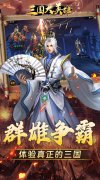 新开大话西游发布网：《三国大英雄（